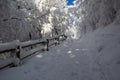 Bieszczady National Park in winter. Approach trail from PrzeÃâÃâ¢cz WyÃÂ¼niej